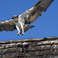 aperture priority mode