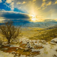 Table Rock Sage Brush in Boise Foothills