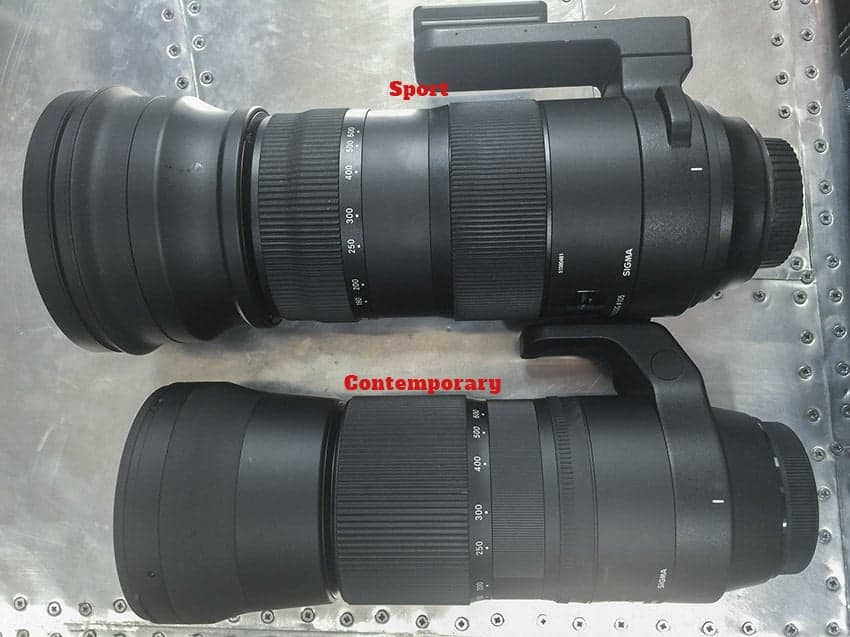 Sigma 150-600 Sport Vs Contemporary: Which is the Best Telephoto Lens?
