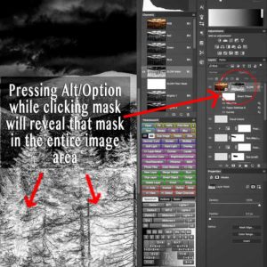 Option/Alt + Clicking on the mask in the layers panel will reveal that mask in the full image workspace area in photoshop. This is essential when manipulating layer masks. This same key/click combo will return you to the image. Also, just click on another layer to return to image view.