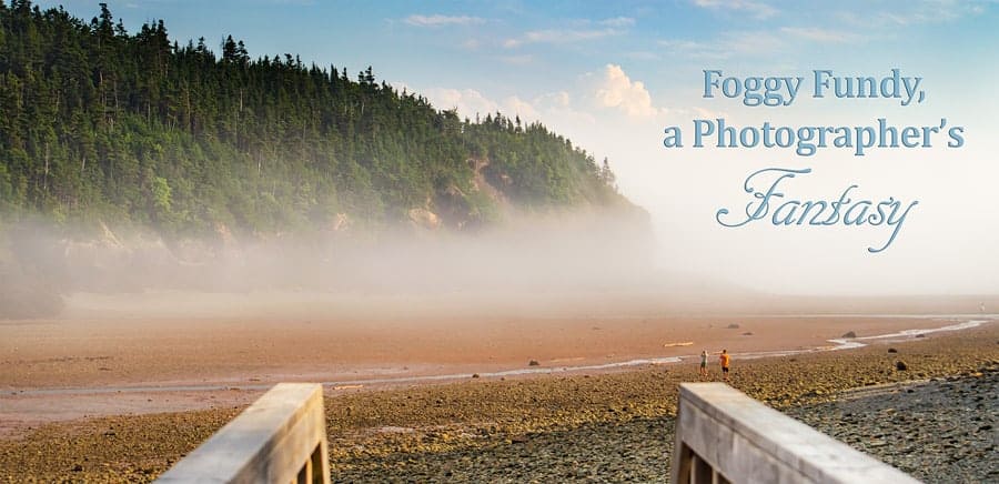 A photo of fog rolling in on the beach at low tide in the Bay of Fundy, New Brunswick.