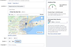 Creating a custom audience for Facebook Ad