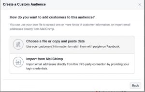 Target Facebook ad with Mail Chimp