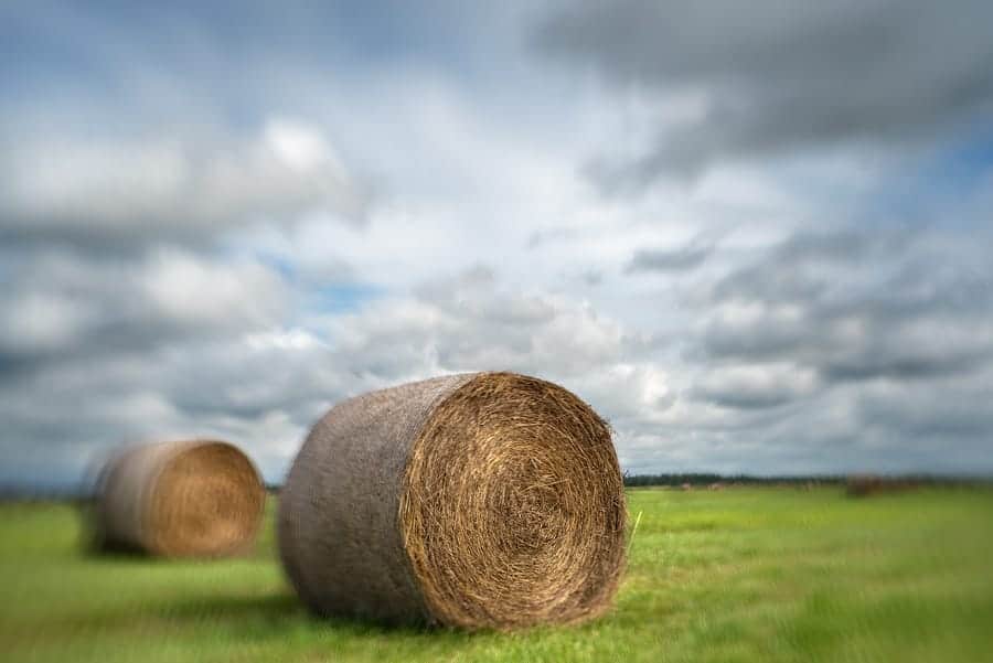 Hay bales in a field, photographed with the Lensbaby Sol 45.