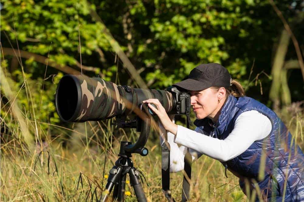 gelijkheid Durf landen Best Lens For Wildlife Photography - Improve Photography