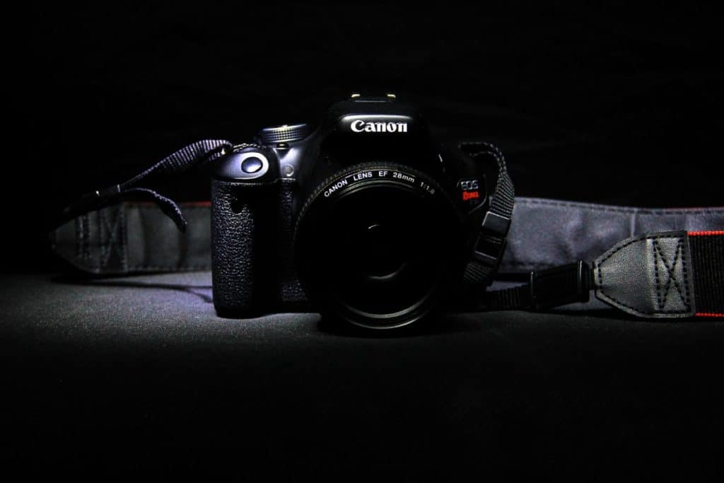 Best Lenses For Canon Rebel T5