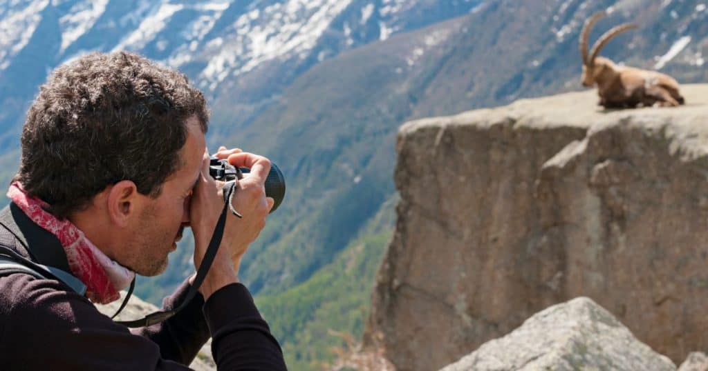 how much do wildlife photographers make