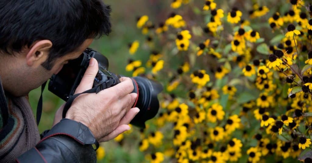 man photographs flowers in nature